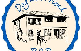 Bnb Dog And Friend